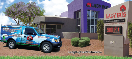 Ladybug Identification & Info  Arrow Exterminating Company, Inc. - Pest  Control and Exterminator Services